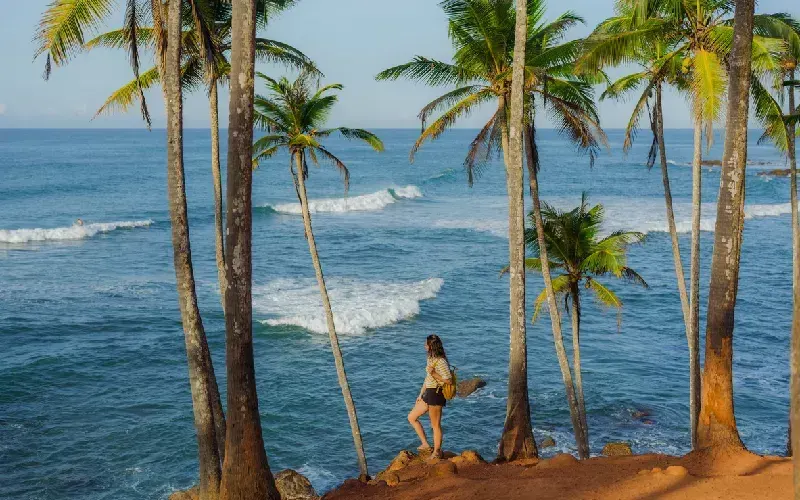 Viaggio nello Sri Lanka Completo 13 Giorni